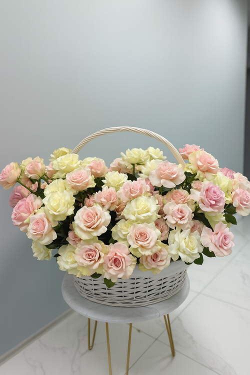 100 Roses of Elegance