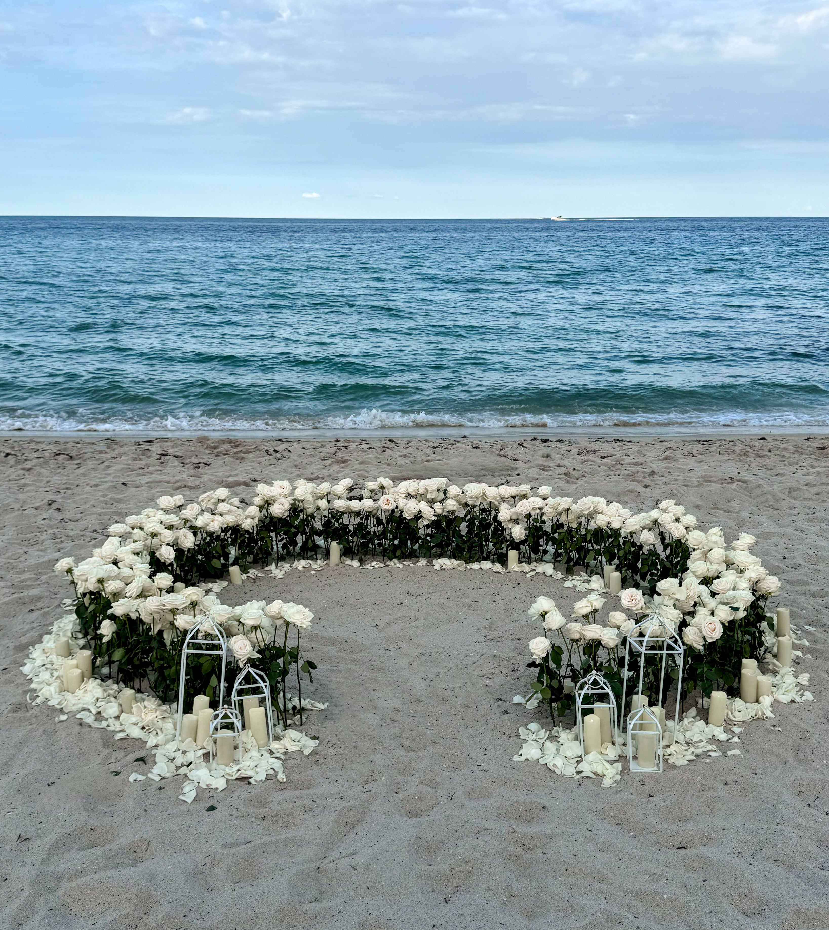 Love In Bloom