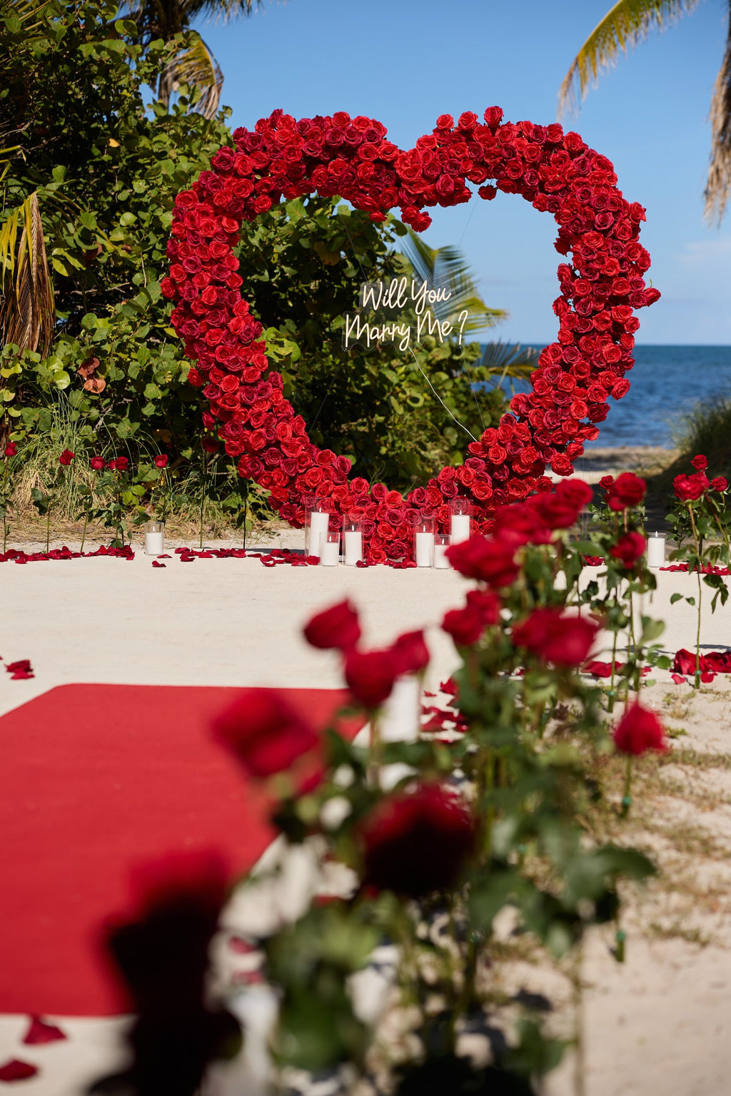 Sea of Roses