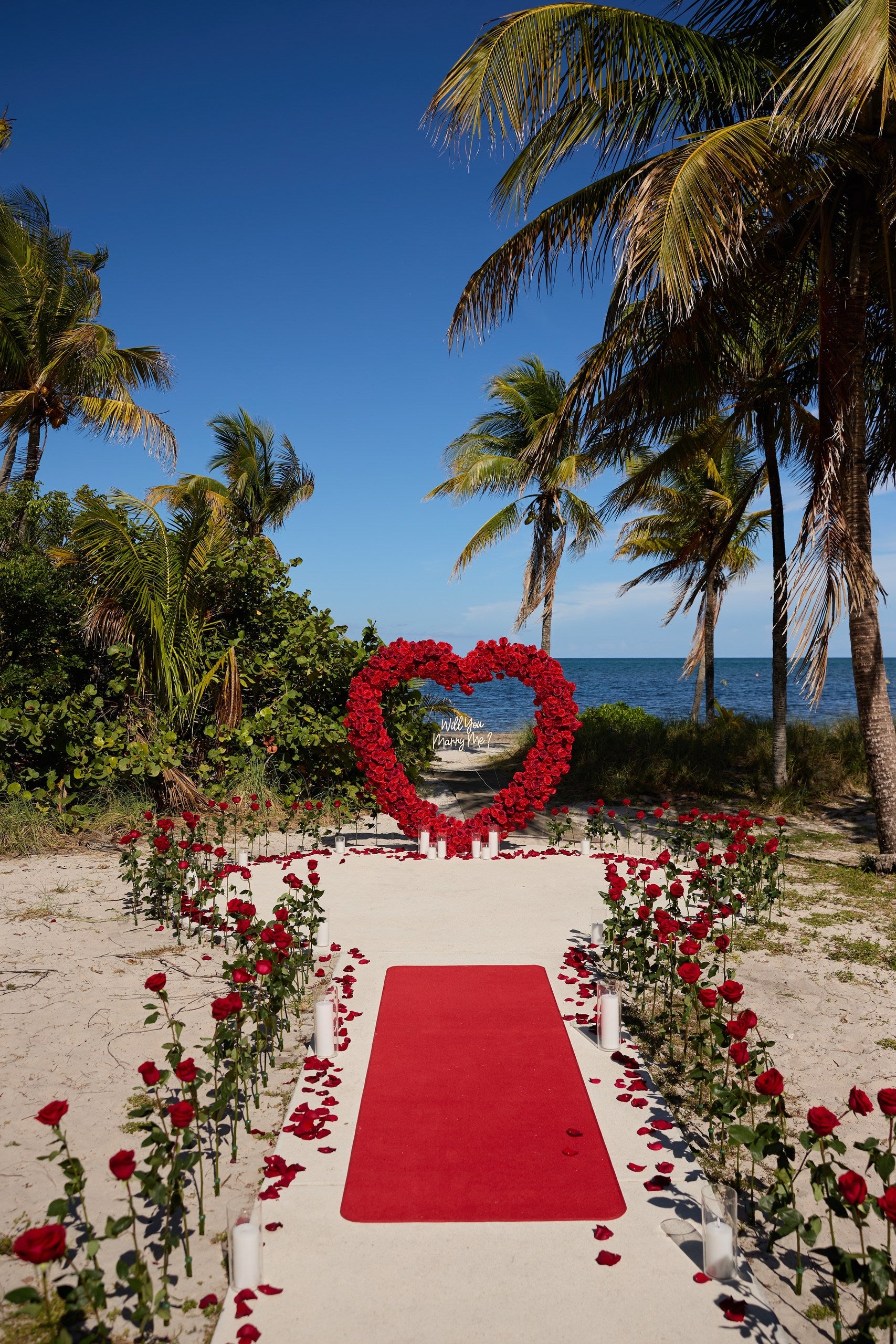 Sea of Roses