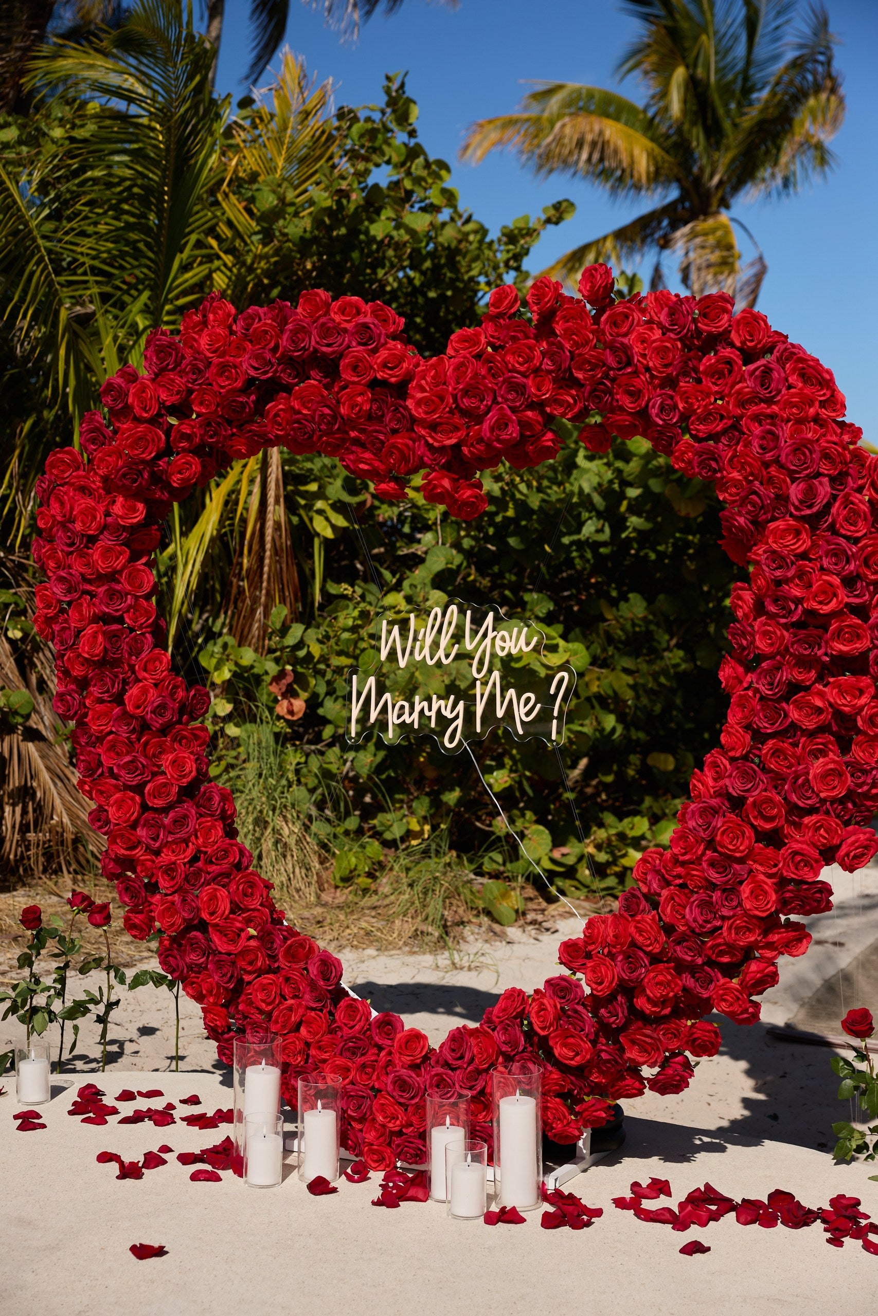 Sea of Roses
