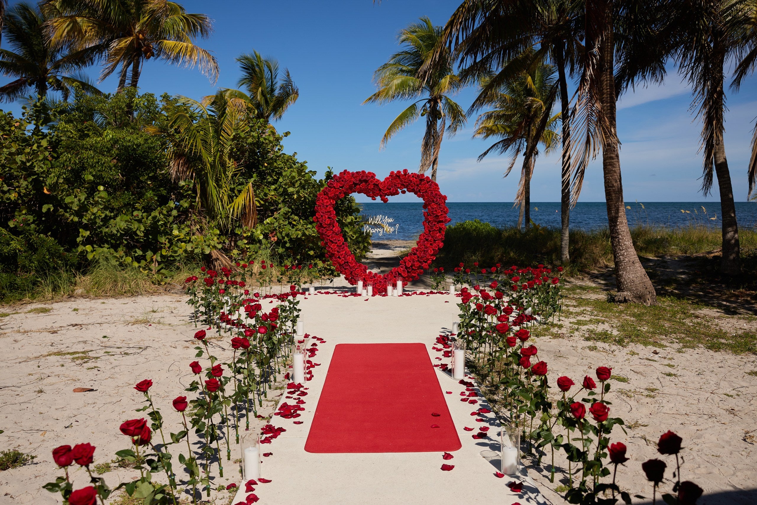 Sea of Roses